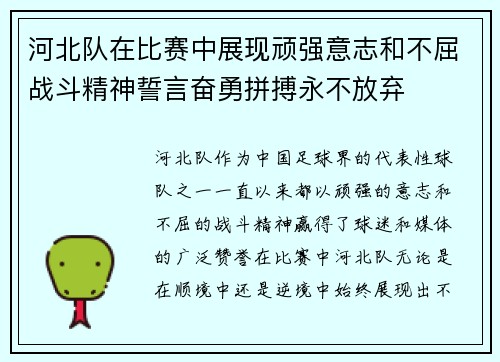 河北队在比赛中展现顽强意志和不屈战斗精神誓言奋勇拼搏永不放弃